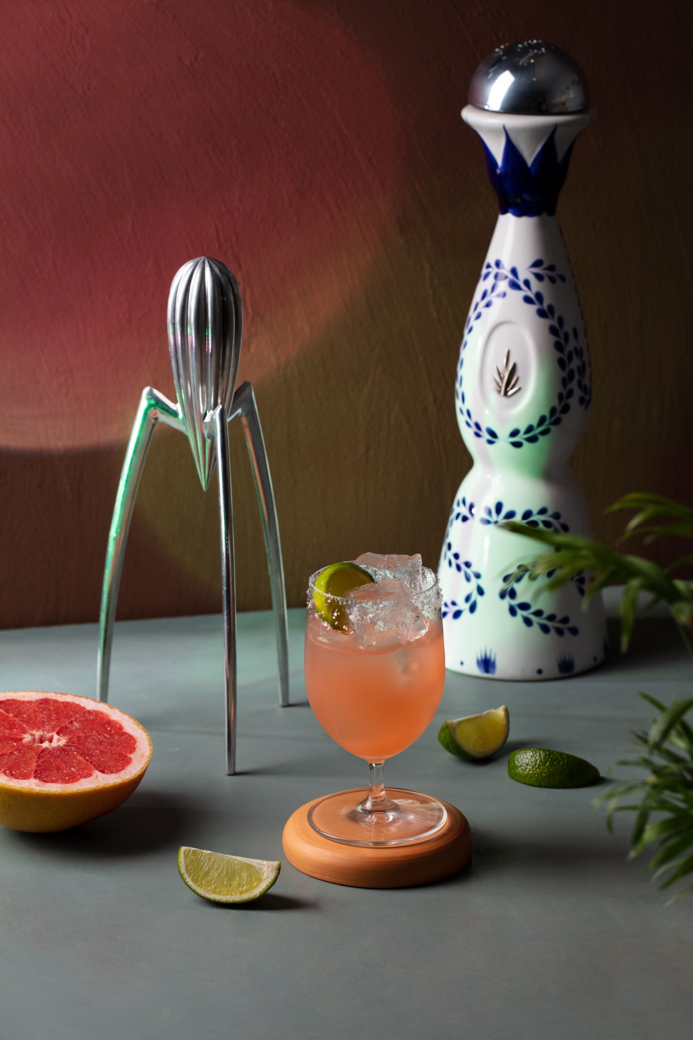 Paloma