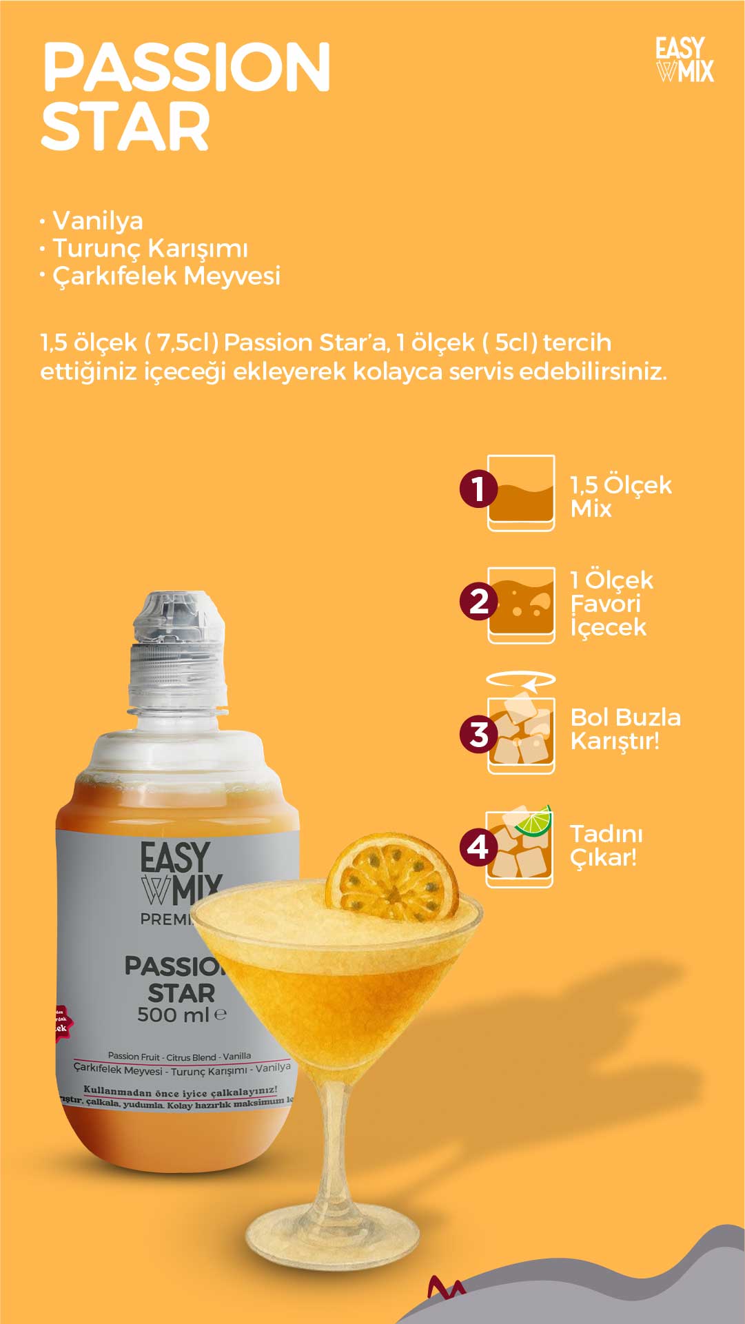 Easy Mix Passion Star Çarkıfelek & Vanilya Premix 500 ml