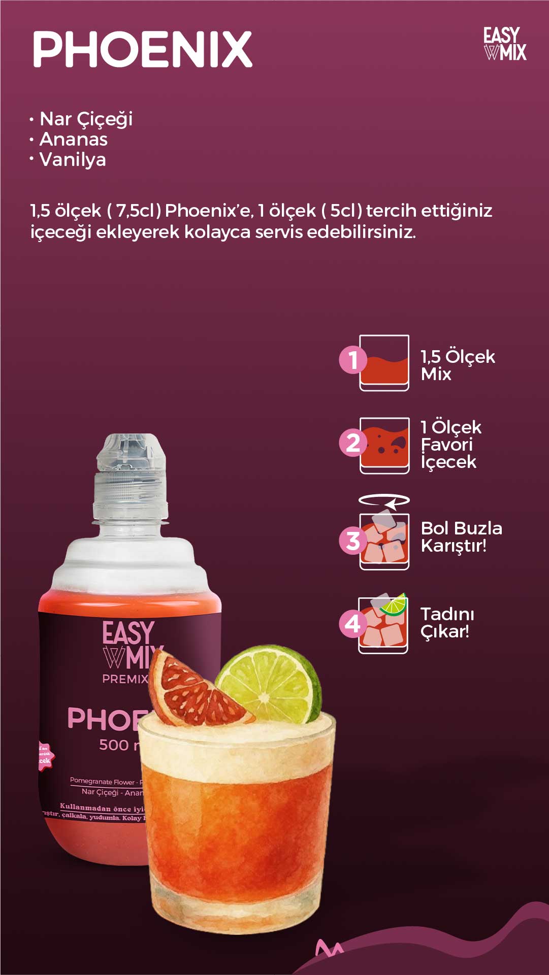 Easy Mix Phoenix Tropikal Aromalı Premix 500 ml | Twins Mutfak